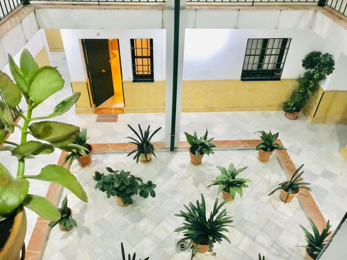 Los Patios De La Juderia Sevilla Eksteriør billede