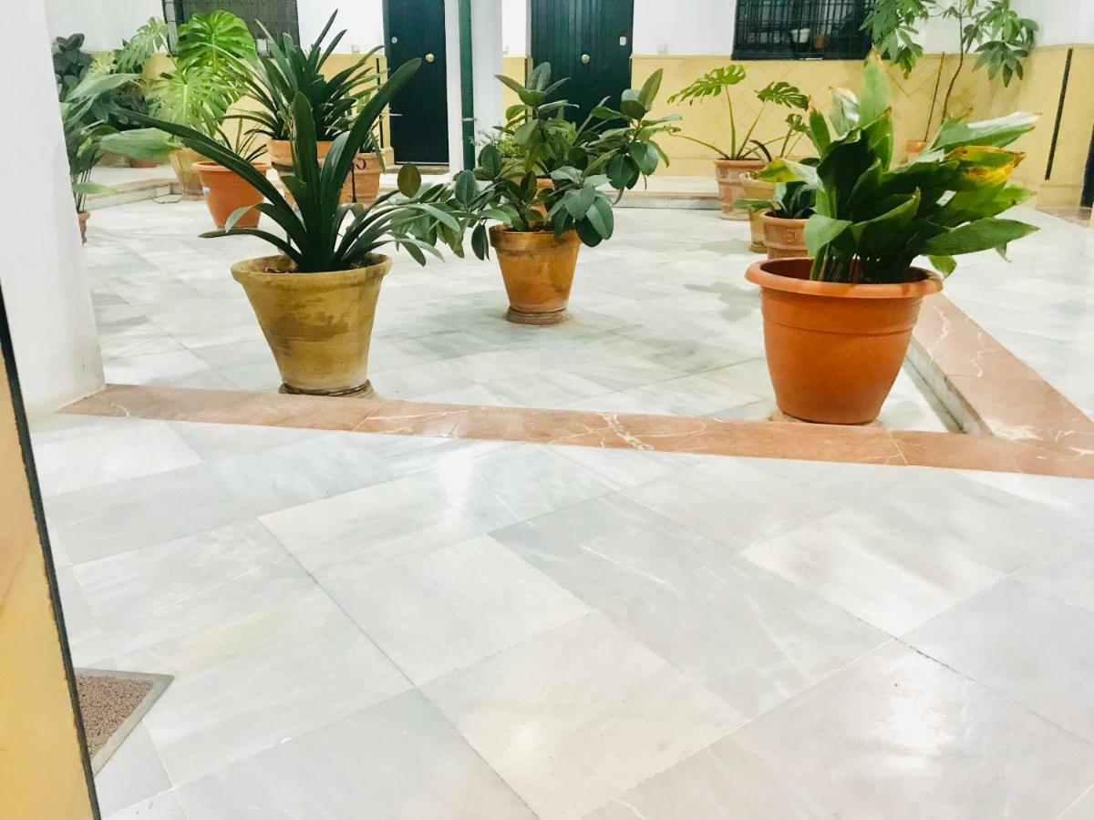 Los Patios De La Juderia Sevilla Eksteriør billede